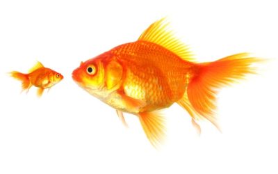 Leadership journey: from PR agency to in-house for a global giant