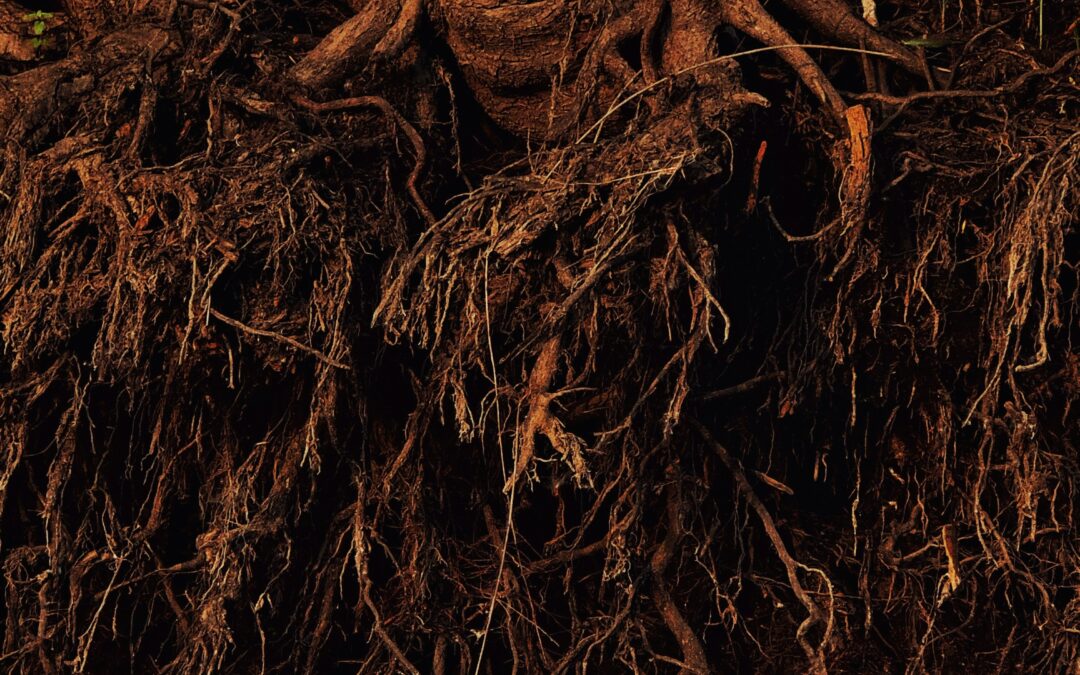 Client Satisfaction Is Not a Metric – It’s a System