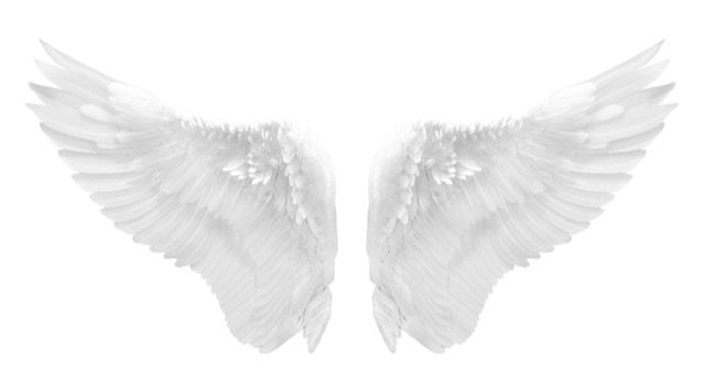 Angel wings,