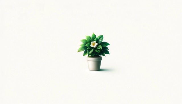 Symbolising appreciation, single plant