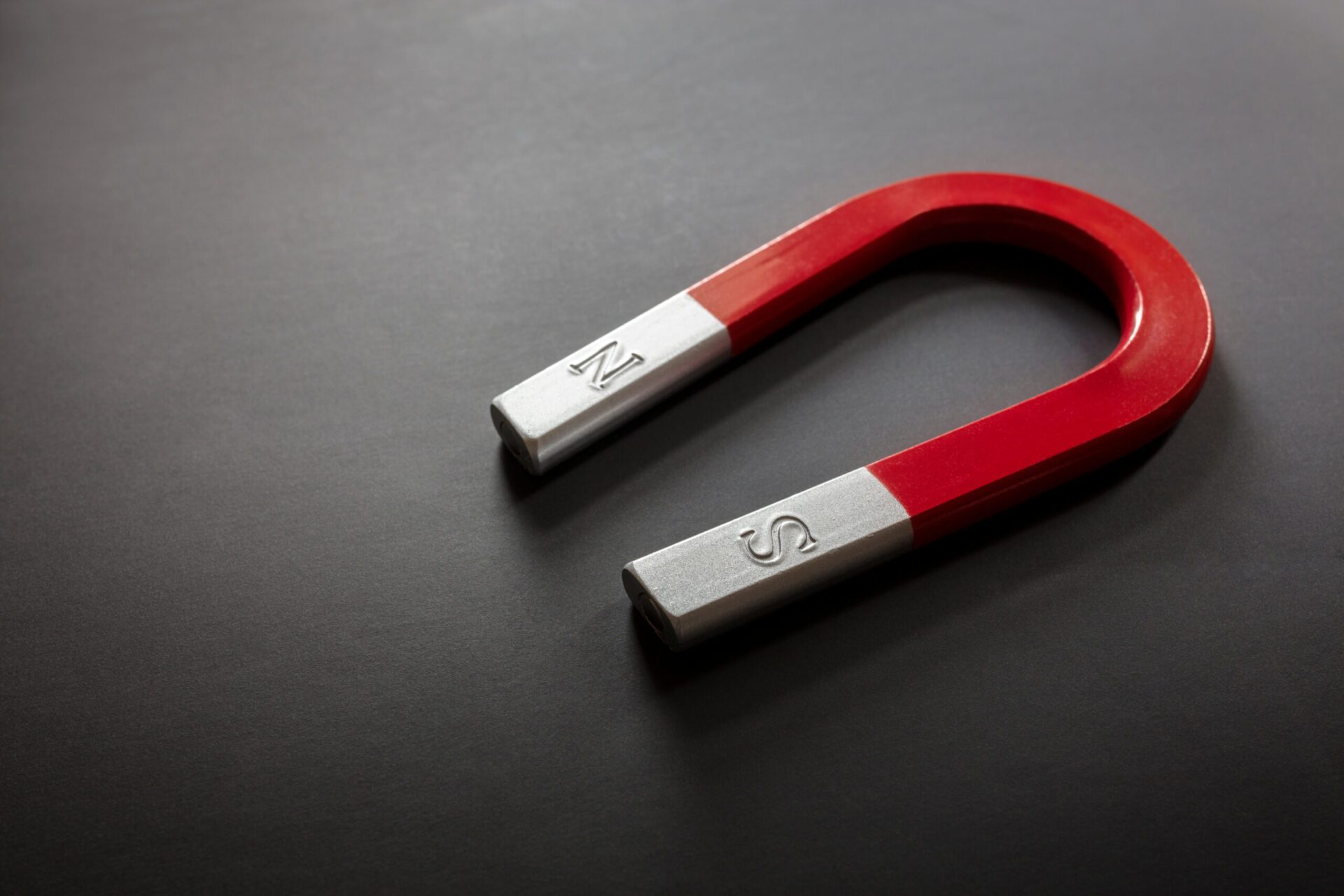 Magnet for diverse talent