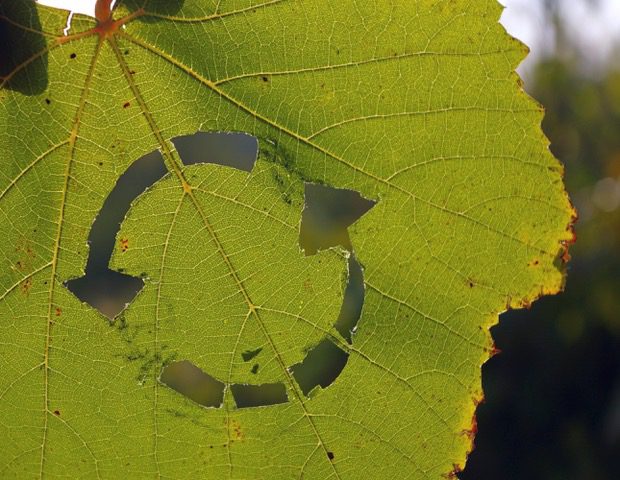 circular economy, sustainability