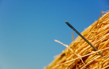 online search and selection